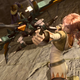 Illustration for article titled Snow and Lightning Star in Final emFinal Fantasy XIII-2/em DLC